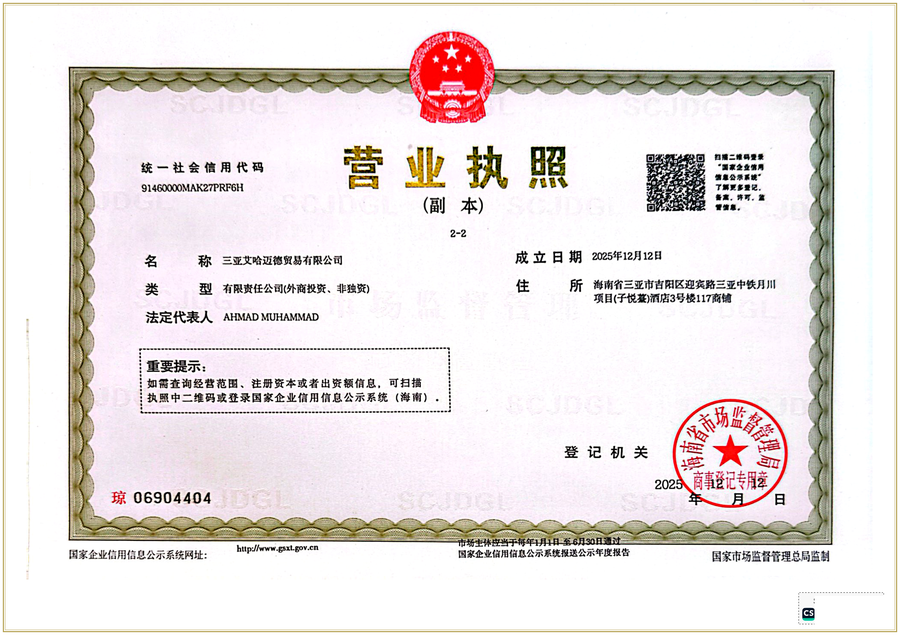 SA Trading Co. Ltd — Official Chinese Business License 营业执照